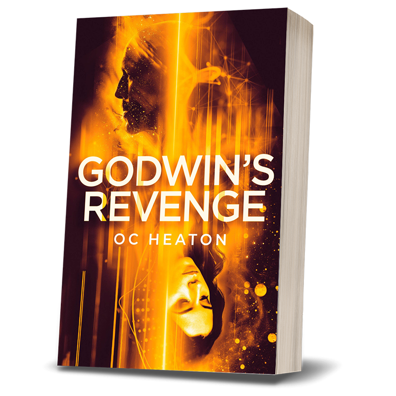 GODWINS Paper Back Book